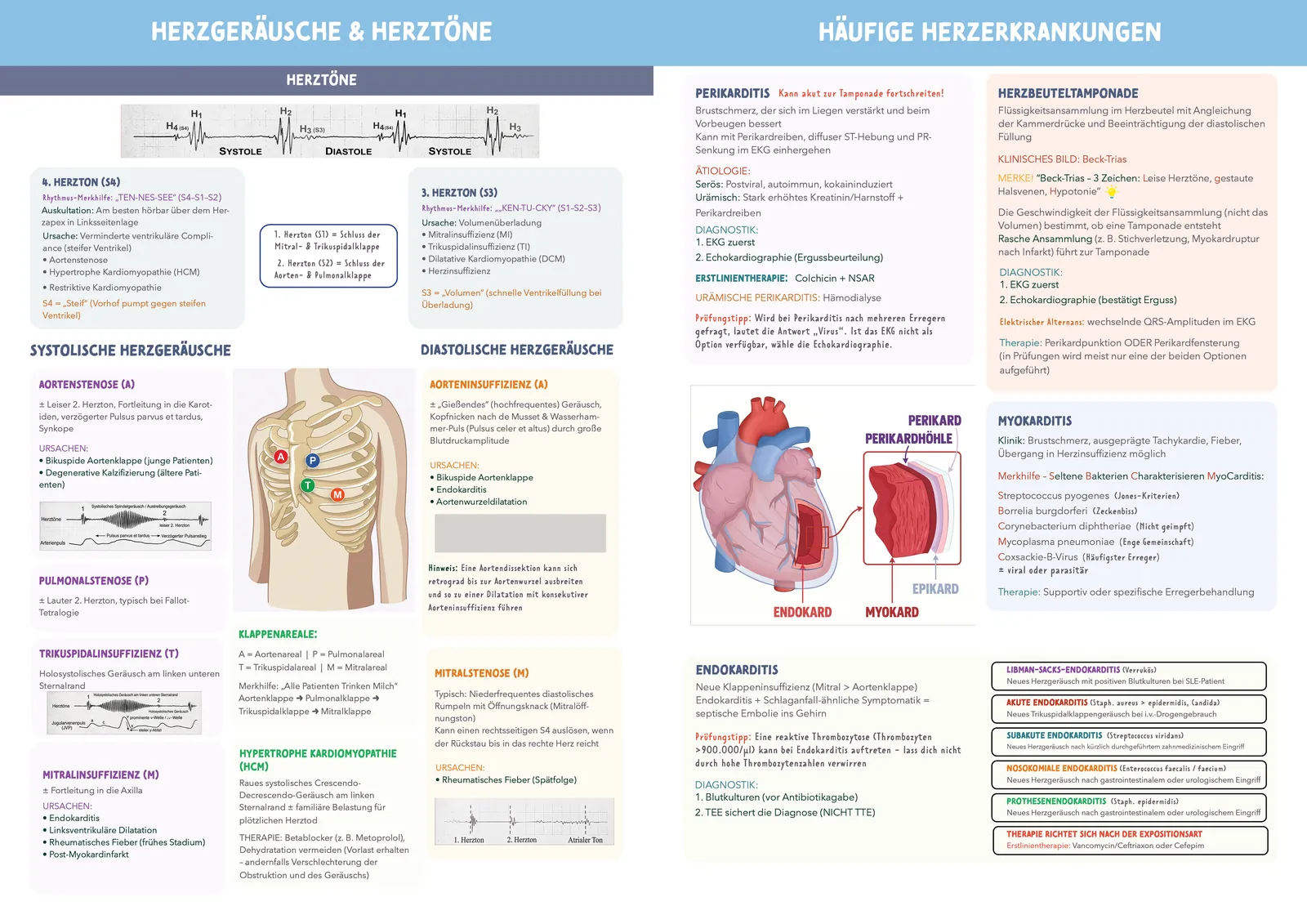 Medibook, German medical study book: Heart sounds and murmurs, then common heart diseases.